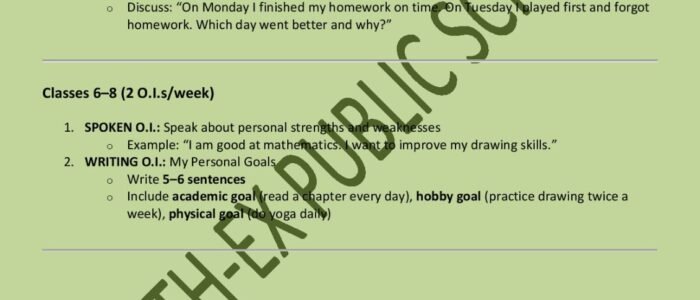 north ex school, best cbse school in rohini delhi (33)